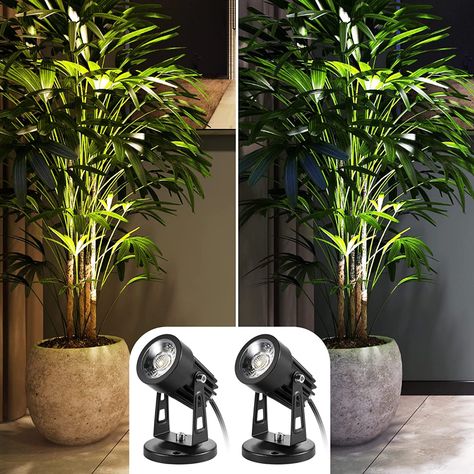 Indoor Green Plants, Indoor Plant Lights, Led Spot Lights, Tall Indoor Plants, Large Indoor Plants, Indoor Tree, Spotlight Lamp, Plants Art, Living Room Plants