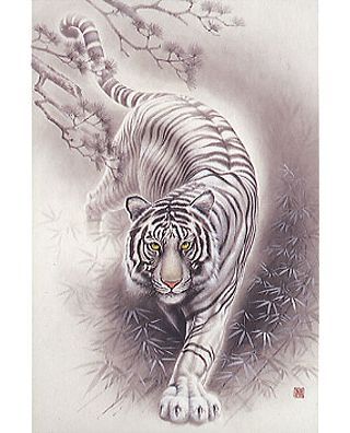 White Tiger Tattoo, Japanese Tiger Tattoo, Celtic Cross Tattoos, Best Tattoo Ever, Japanese Tiger, Bamboo Tattoo, Worlds Best Tattoos, Tiger Tattoo Design, Trendy Tattoo