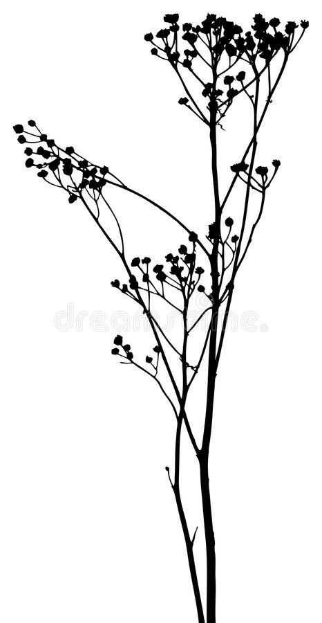 Plant Sillouhette, Plant Silhouette Art, Plants Silhouette, Botanical Silhouette, Plant Silhouette, Leaves Silhouette, Flowers Silhouette, Wreath Illustration, Doodle Art Flowers