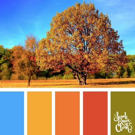 Gubahan Massa, Colour Catalogue, Color Palette For Home, Fall Color Combinations, Pantone Fall, Fall Color Schemes, Spring Color Palette, Color Catalog, Fall Color Palette