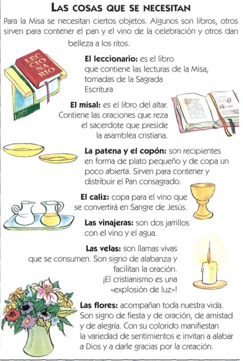 LAS COSAS QUE SE NECESITANPara la Misa se necesitan ciertos objetos. Algunos son libros, otrossirven para contener el pan ... Catholic Kids Activities, Catholic Sacraments, Bible Study For Kids, Catholic Books, Catholic Kids, Bible Activities, Religious Education, Catholic Prayers, Catholic Art