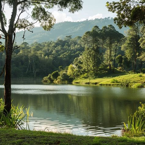 Unveiling the Serene Lakes of Magoroto Forest Discover the tranquil beauty of the serene lakes nestled within Magoroto Forest, Tanzania's hidden gem. This lush escape offers a perfect blend of mountainous forest scenery and pristine water bodies ideal for relaxation and recreation. Visitors can enjoy activities like swimming, fishing, or kayaking in these calm, clear waters surrounded by the rich greenery of the forest. The peaceful environment, coupled with the chirping of diverse bird spec... Peaceful Environment, Forest Scenery, Water Bodies, Hidden Gem, Clear Water, Tanzania, The Forest, Kayaking, Album Covers