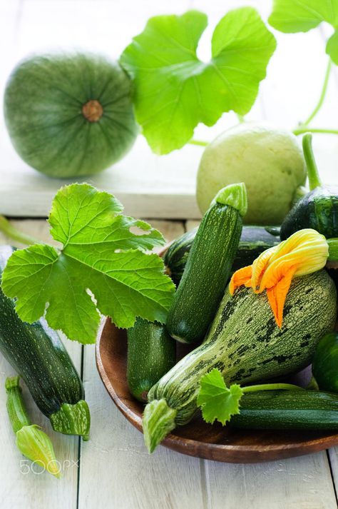 Vegetable Photography, Zucchini Pasta Recipes, Zucchini Recipes Baked, Giant Vegetable, Growing Zucchini, Zucchini Recipes Healthy, Zucchini Banana Bread, Vegetables Photography, Zucchini Flowers