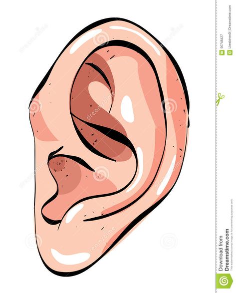 Human Body Crafts, Ear Images, Ear Picture, Powerpoint Background Templates, Body Craft, Human Ear, Cartoon Image, Picture Illustration, Cartoon Images