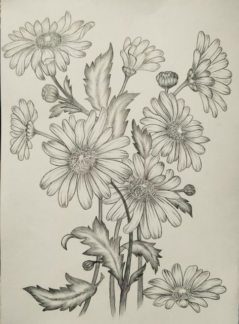 A Flower Drawing, Sketch Rose, Sunflower Illustration, Pencil Drawings Of Flowers, Flower Sketch, Pencil Drawings For Beginners, Illustration Botanical, Art Mediums, Sunflower Drawing