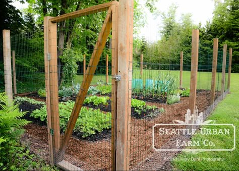 Deer Fencing, Chicken Yard, Fenced Vegetable Garden, Vege Garden, Wood Fencing, Diy Garden Fence, Deer Fence, Veggie Gardens, Garden Fence Ideas