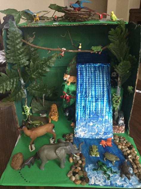 Rainforest Diorama Rain Forest Diorama, Animal Diorama, Ecosystems Diorama, Rainforest Diorama, Rainforest Crafts, Ocean Diorama, Biomes Project, Rainforest Project, Rainforest Activities