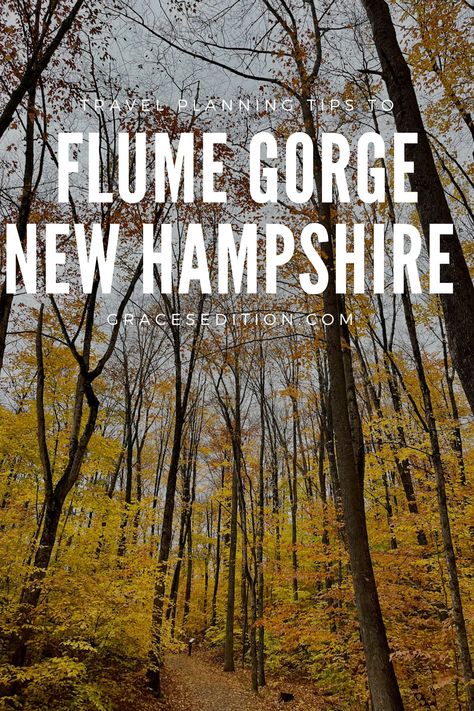 Make the most of your visit to New Hampshire with the help of my travel planning tips and guide this autumn season. Learn how to make the most of your time at the Flume Gorge in Lincoln, New Hampshire. Adventure awaits! Flume Gorge New Hampshire, New Hampshire Fall, Lincoln New Hampshire, Trip Planner App, Flume Gorge, White Mountain National Forest, Fall Road Trip, Scenic Railroads, New England Travel