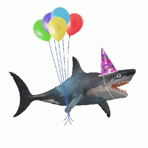 Shark Gif, Shark Balloon, 1366x768 Wallpaper, Shark Pictures, Arte Gif, Cute Shark, Weird Things, Silly Images, Silly Animals