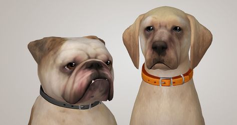 cakenoodles. Sims 4 Dog Collar, Sims 4 Dog, Just Don, Dog Collar, Sims 4, Mesh, Pet, Collar, Dogs