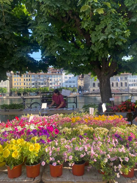 euro summer aesthetic morning flower market lucerne switzerland river Lucerne Aesthetic, Lucerne Switzerland Aesthetic, Switerzerland Summer, Euro Summer Aesthetic, Europe Interrail, Switzerland Lucerne, Europe Life, Ef Tours, Switzerland Aesthetic