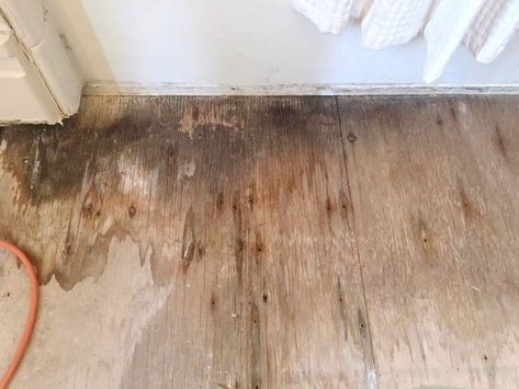 Repair Rotted Wood, Wood Bathroom Floor, Subfloor Repair, Pallet Deck Diy, Plywood Subfloor, Trailer Conversion, Remodeling Mobile Homes, Unique Flooring, Double Vanity Bathroom