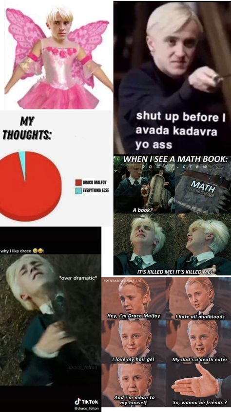 Draco Malfoy Memes, Slytherin Squad, Draco Malfoy Funny, Harry Potter Part, Draco Malfoy X Harry Potter, Malfoy X Harry, Harry Potter Funny Pictures, Harry Potter Pov, Slytherin Wallpaper