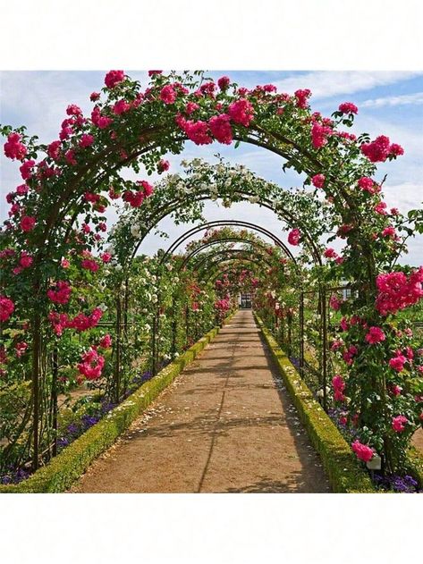 Heavy Duty Metal Garden Arch Trellis Arbour Outdoor Rose Climbing Plants StandHeavy Duty Metal Garden Arch Trellis Arbour Outdoor Rose Climbing Plants Stand 1         Home Decor, size features are:Bust: ,Length: ,Sleeve Length: 16 Birthday Parties, Metal Archway, Metal Garden Arch, Rose Climbing, Arch Gate, Plants Stand, Garden Arch Trellis, Arch Trellis, Garden Arbor