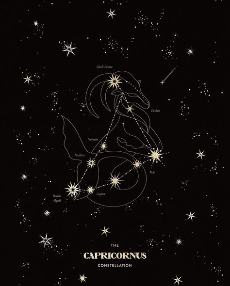 Zodiac Art Capricorn, Capricorn Wallpaper, Capricorn Symbol, Headboard Art, Capricorn Aesthetic, Capricorn Art, Capricorn Constellation, Capricorn Season, Capricorn Tattoo