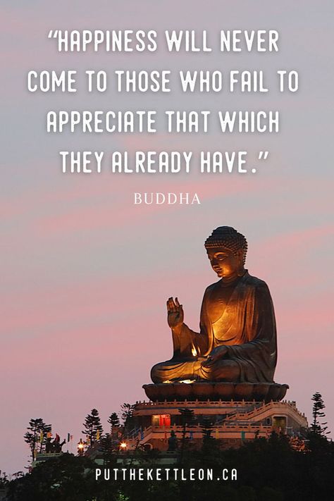 Buddha quote - Happiness will never come to those who fail to appreciate... Quotes For Self Improvement, Quotes For Self, Best Buddha Quotes, Gratitude Journal Prompts, Buddha Quotes Inspirational, Quotes On Life, Peace Happiness, Gratitude Affirmations, Buddha Quotes