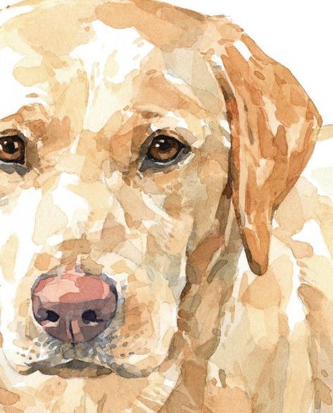 Yellow Lab Watercolor, Labrador Retriever Painting, Dog Draw, Labrador Retriever Art, Lab Art, Labrador Art, Labs Art, Dog Illustrations, Black Dogs