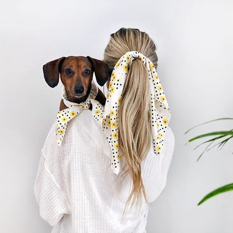 Human and dog matching scarves from shopdogthreads.com Dog Club, Dog Photoshoot, Silk Bandana, Dog Scarfs, Dog Costumes, Bandana Scarf, Dog Photography, Diy Dog Stuff, Dog Photos