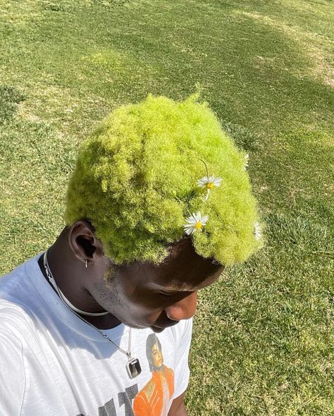 Green 4c Hair, Green Afro Hair, Short Green Hair, Adonis Bosso, Men Hair Color, Colored Curly Hair, Creative Stuff, Short Hair Color, 4c Hairstyles