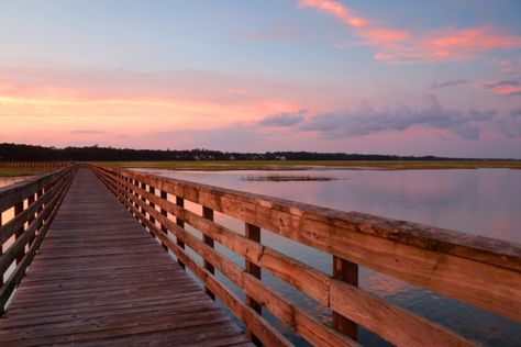 The 10 Best Places to Live in South Carolina Near the Beach South Carolina Beach, Murrells Inlet Sc, Cruise Pictures, Murrells Inlet, South Carolina Beaches, Pawleys Island, Folly Beach, Carolina Beach, Pier Fishing