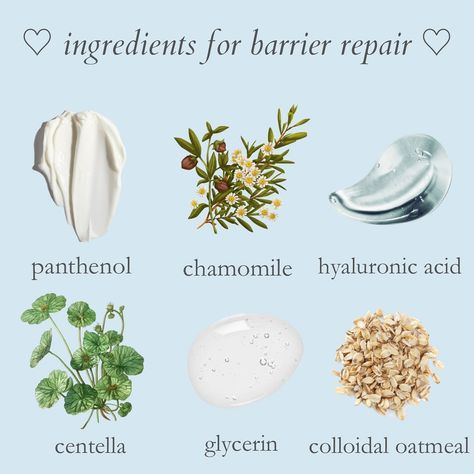 some of the best ingredients for skin barrier repair 🌼💦🌿 this is such an important topic to educate on to me because I believe the first step to healthy skin is always a healthy barrier 🫶 the barrier needs to be intact before any other treatments can be done effectively on the skin !! 🩵 WHAT IS THE SKIN BARRIER? the skin barrier (also called the acid mantle) is the outermost layer of your skin that is meant to protect you from bacteria, irritants, and pollution, as well as prevent transep... Skin Barrier Repair, Healthier Alternatives, Face Skin Care Routine, Skin Secrets, Face Skin Care, Youthful Skin, Skin Barrier, Luxury Skincare, Healthy Alternatives