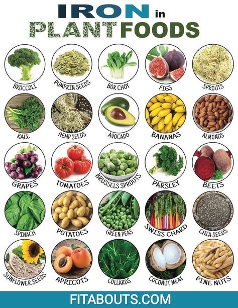 Vegan Iron Sources, Vegan Iron, Food For Pregnant Women, Plant Eater, Foods With Iron, Avocado Banana, Iron Rich Foods, Diet Keto, Healthy Pregnancy