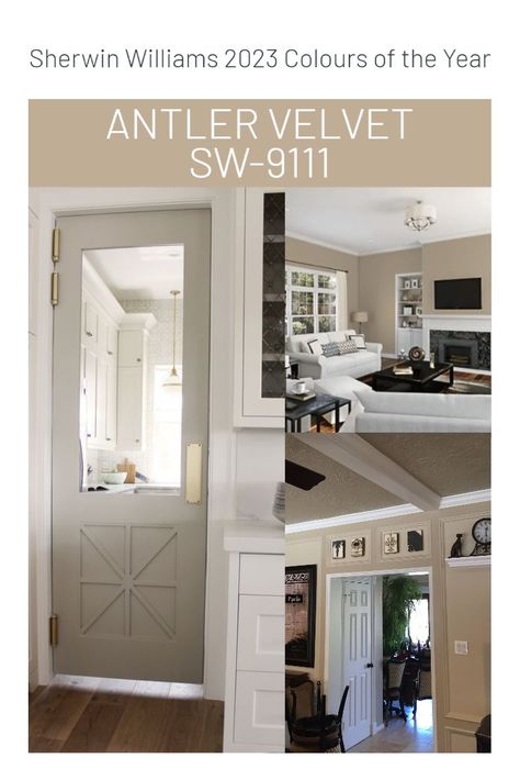 We are in love with Sherwin William's Colours of the Year for 2022. Here is some of our inspo for how to use Antler Velvet SW-9111! Check out our socials for more of our inspo ideas and interior design work! 🤍 Antler Velvet Sherwin Williams, Antler Velvet, Sherwin Williams Colors, Interior Design Work, Color Of The Year, Sherwin Williams, Home Staging, Staging, Antlers