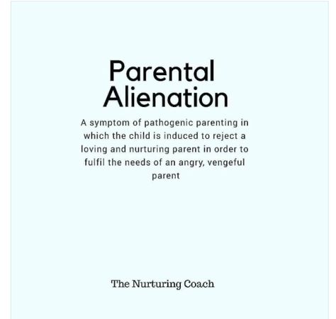 Narcissistic Personalities, Family Advice, Toxic Parents, Parental Alienation, Custody Battle, Mom Life Quotes, Step Parenting, Child Custody, Narcissistic Behavior