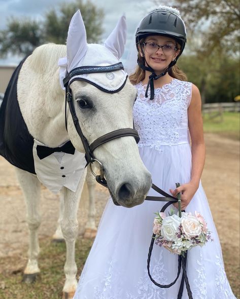 Bride And Groom Costume, Costume For Horse, Horse Fancy Dress, Groom Costume, Horse Halloween Costumes, Horse Costume, Horse Costumes, Horse And Rider, Horse Crafts