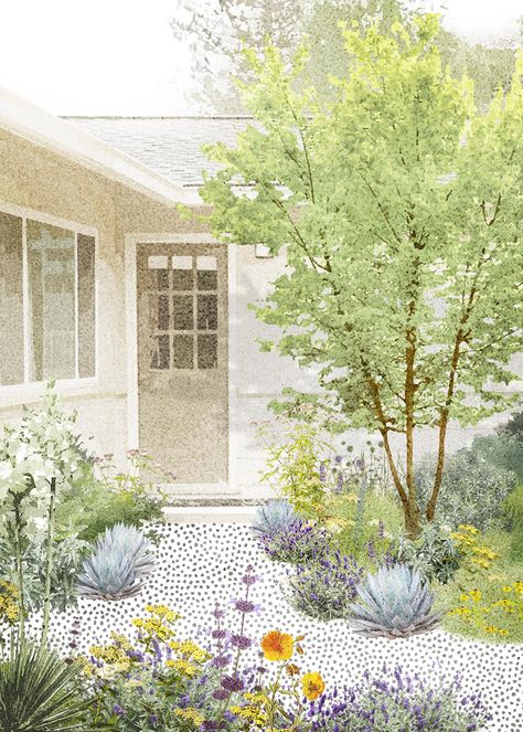 California Landscape Design, Landscape Architecture Diagram, Landscape Architecture Graphics, Landscape Design Drawings, California Native Plants, Pool Landscape Design, California Garden, Portfolio Design Layout, Architecture Design Drawing