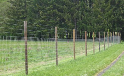 T- Post and wire fence. Wire Fences, Country Fences, Deer Fence, Black Fence, Fencing Ideas, Security Fence, Steel Fence, Front Yard Fence, Cedar Fence