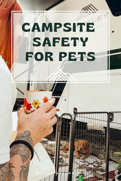 RV dog fence Full Time Rving With Dogs, Rv Camping With Dogs Hacks, Rv Life With Dogs, Rv Dog Ideas, Camper With Dogs, Rv Camping With Dogs, Rv Dog Fence, Dog Boutique Ideas, Rv Dog