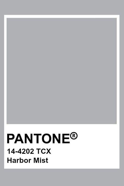 grey harbor mist pantone color Pantone Gray Shades, Pantone Grey Shades, 2023 Tshirts, Pantone Postcards, Color Seeds, Clothing Palette, Gray Pantone, Pantone Tcx, Pantone Colours