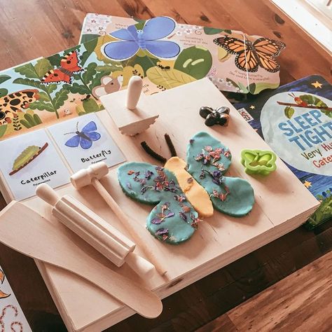 Reggio Butterfly Activities, Reggio Kindergarten, Ece Teacher, Caterpillar And Butterfly, Butterfly Activities, Different Butterflies, Playdough Tools, Butterflies Activities, Early Years Classroom