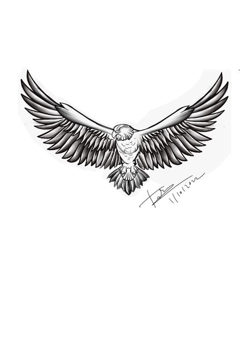 German Eagle Tattoo, Falken Tattoo, Eagle Tattoo Stencil, Falcon Tattoo Design, Eagle Back Tattoo, Eagle Wing Tattoos, Falcon Tattoo, Chest Tattoo Ideas, Tattoo Design For Hand