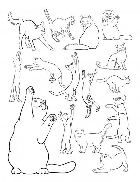 Cat Outline Drawing, Motion Drawing, Animal Types, Cat Animation, Cat Outline, Cat Drawing Tutorial, Cat Coloring Book, Cat Sketch, Outline Drawing