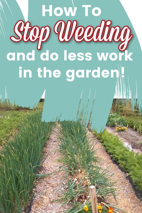 Gardening should be fun, but hard work like weeding is not! Learn how to prevent weeds from growing so that you can stop weeding so much and enjoy your garden instead! #weeds #gardening #mulch #gardeningtips #thereidhomestead Vegetable Garden Walkways, How To Stop Weeds From Growing, Stop Weeds From Growing, Weeding A Garden, No Weeding Garden, How To Stop Weeds In Garden, How To Keep Weeds Out Of Garden, Keep Weeds Out Of Garden, Weeding The Garden