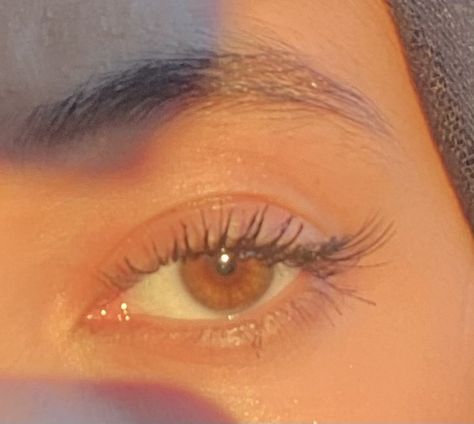 Eye Claims For Dr Brown, Light Brown Hazel Eyes, Hazel Brown Aesthetic, Hazel Brown Eyes Aesthetic, Light Brown Eyes Aesthetic, Honey Brown Eyes, Brown Hazel Eyes, Layla Core, Hazel Brown Eyes