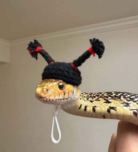 Snake With Top Hat, Snakes In Hats, Snake Meme, Snakes With Hats, Creepy Masks, Cute Snake, Art Organization, Wild Animals, Snakes