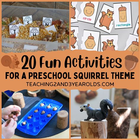 Squirrels Busy Day Activities, The Very Busy Squirrel Activities, Squirrel Gross Motor Activities, Gray Squirrel Craft Preschool, Squirrel Activities For Kindergarten, Preschool Squirrel Activities, Squirrels And Acorns Preschool, Squirrel Activities For Toddlers, Squirrel Preschool Crafts