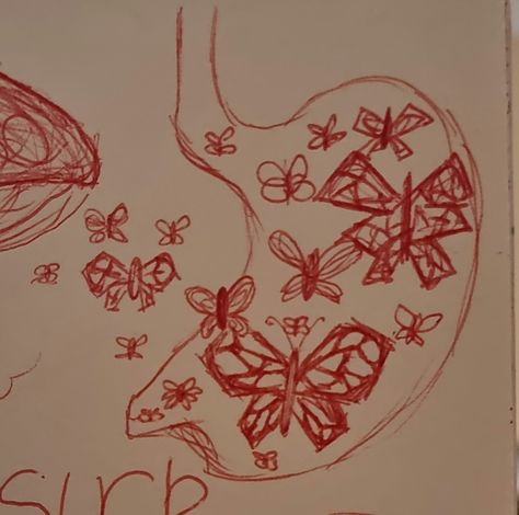 Stomach Meet Butterflies Drawing, Stomach Meet Butterflies, Butterfly Stomach, Butterfly Sketch, Butterfly Drawing, Random Art, Art Stuff, Aesthetic Pictures, Rooster