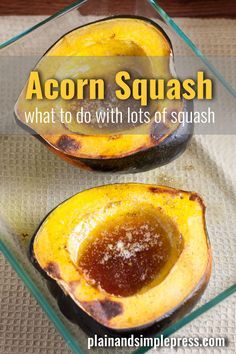 What to Do with LOTS of Squash? Make convenience food Acorn Squash Baked, Lemon Dill Chicken, Homemade Fajita Seasoning, Acorn Squash Recipes, Homemade Flour Tortillas, Frozen Dinners, Lime Cheesecake, Squash Recipe, Oven Roasted Chicken