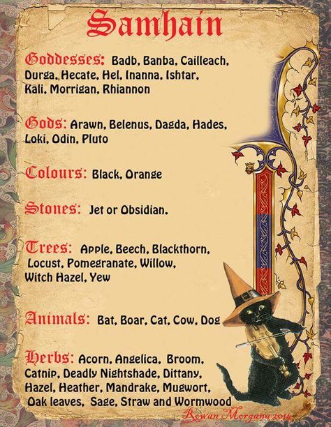 Samhain correspondences.. goddesses - gods - colors - stones - trees - animals - herbs Samhain Correspondences, Samhain Traditions, Magical Circle, Samhain Ritual, Pagan Holidays, Samhain Halloween, Wicca Witchcraft, Orange Stone, Wiccan Spells