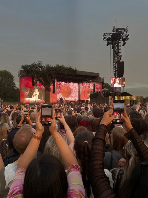 Lana Del Rey Hyde Park, Lana Del Rey Concert Aesthetic, Live Concert Aesthetic, Lana Del Ray Concert, Lana Del Rey Festival, Rock Concert Aesthetic, Primavera Festival, Lana Concert, Queen Concert