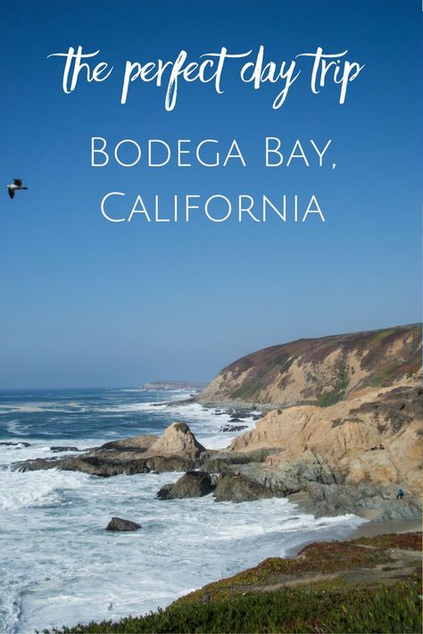 What to do in Bodega Bay for one day: hike, beaches, lunch, views Bodega Bay California Things To Do, Temecula California Things To Do, Hiking San Diego Bucket Lists, San Diego Wineries, Bodega Bay California, La Travel Guide, Southern California Hikes, Napa Valley Trip, Napa Trip