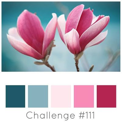 In Color Balance, Basic Background, Turquoise Color Palette, Color Palette Ideas, Wall Living Room, Spring Color Palette, Pink Color Schemes, Color Schemes Colour Palettes, Palette Ideas