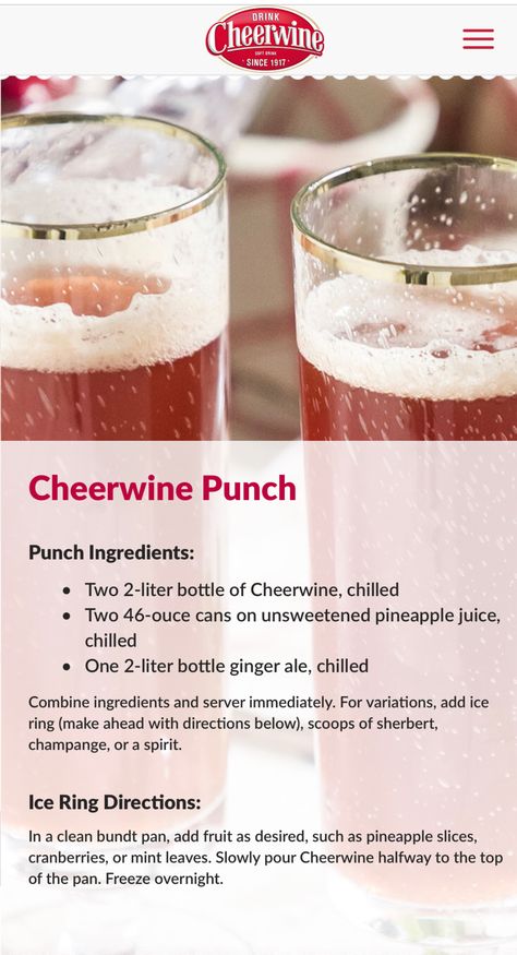 Cheerwine Punch, Cheerwine Recipes, Fruit Punch Recipe, Halloween Finger, Halloween Finger Foods, Christmas Drinks Recipes, Pineapple Chicken Recipes, Alcoholic Punch, Baby Shower Sweets