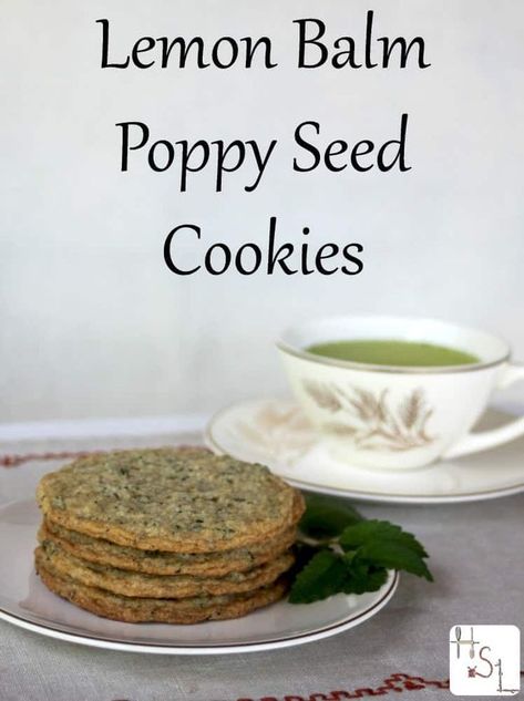 Use lemon balm herbs in these poppy seed cookies. These cookies are sweet and crispy. There are flecks of green lemon balm and black poppy seeds that make for a beautiful cookie. Get your recipe for these homemade lemon balm poppy seed cookies today. #cookies #dessert #recipes #homemade #easyrecipe #herbs Herbal Cookies, Poppyseed Cookies, Lemon Balm Recipes, Poppy Seed Cookies, Seed Cookies, Seasonal Living, Herb Recipes, Herbal Recipes, Herb Gardening