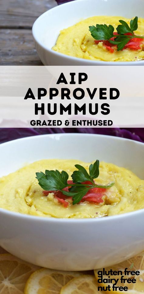 Elimination Diet Dessert Recipes, Aip Quinoa Recipes, Aip Dip Recipes, Aip Lunch Recipes Easy, Aip Mexican Recipes, Aip Hummus, Aip Snacks On The Go, Aip Chips, Aip Dips