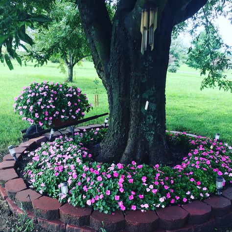 Dream Garden Backyards, Front Lawn Landscaping, Landscaping Around Trees, Front Garden Landscape, Front Yard Garden Design, Fall Garden Vegetables, Recycled Garden, Garden Makeover, Garden Yard Ideas